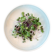 Microgreen Mixes